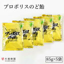 プロポリスのど飴(85g×5袋) | はちみつ 蜂蜜 ハチミツ のど のどケア 喉 喉ケア プロポリス のど飴 乾燥 お歳暮 お歳暮ギフト 贈答用 退職 お礼 ...