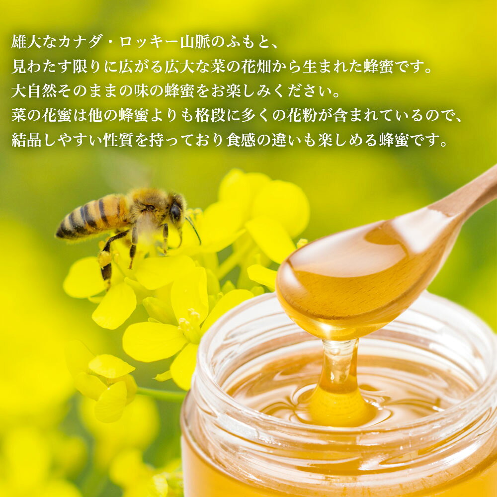カナダ産 菜の花蜜 (1kg/詰替用) | はちみつ 蜂蜜 ハチミツ カナダ 1000g ハニー ギフト お歳暮 お歳暮ギフト プレゼント プチギフト グルメ グルメギフト 取り寄せ 内祝い 熊本 お土産 熊本土産 お取り寄せグルメ ご当地グルメ 退職 杉養蜂園 sugi-10000322 杉養蜂園楽天市場店 サンプル画像2