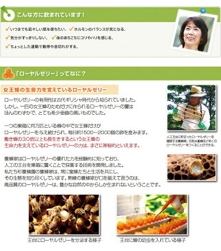 ローヤルゼリー入り スティックハニー 60本 | はちみつ 蜂蜜 ハチミツ 送料無料 国産 ローヤルゼリー ギフト お歳暮 お歳暮ギフト プレゼント プチギフト グルメ グルメギフト 取り寄せ 内祝い 熊本 お土産 熊本土産 お取り寄せグルメ ご当地グルメ 退職祝い 忘年会 杉養蜂園