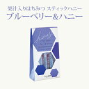 果汁入りはちみつ スティックハニー ブルーベリー & ハニー (15g×7本) | はちみつ 蜂蜜 ギフト プチギフト スティックグルメ グルメギフト 取り寄せ...