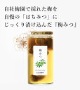梅みつ 850g | はちみつ 蜂蜜 ハチミツ お歳暮 お歳暮ギフト 贈答用 退職 お礼 退職祝い 忘年会 新年会 贈答品