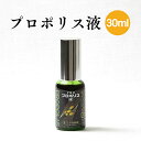 プロポリス液 30ml | はちみつ 蜂蜜 ハチミツ お歳暮 お歳暮ギフト 贈答用 退職 お礼 退職祝い 忘年会 新年会 贈答品