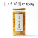 しょうが漬け 850g | はちみつ 蜂蜜 ハチミツ 生姜 しょうが ギフト お歳暮 お歳暮ギフト プレゼント プチギフト グルメ グルメギフト 取り寄せ 内祝...