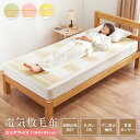 電気敷毛布 日本製 送料無料 タイマー 洗える ダニ退治 電気毛布 電気敷き毛布 電気しき毛布 頭寒足熱 省エネ 椙山紡織