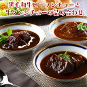 スギモト 黒毛和牛ビーフシチューと牛タンシチュー 内祝い お中元 父の日 ギフト
