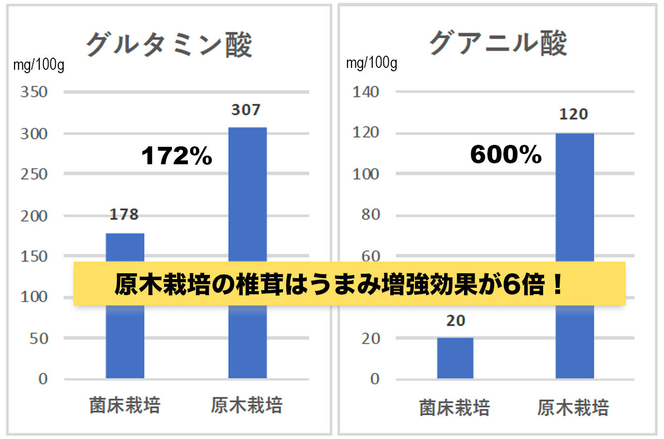 万能だしに！九州産本格椎茸粉40g【レシピQRコード付き】 椎茸パウダー 椎茸粉 うま粉 干し椎茸 干ししいたけ 出汁 パウダー 椎茸 しいたけ