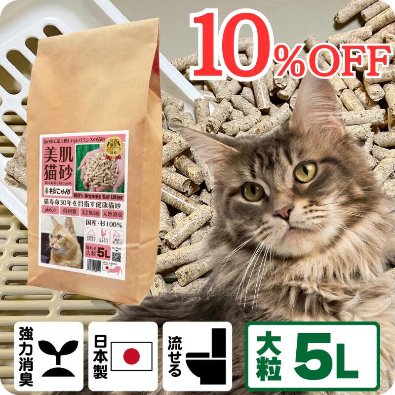 TVメディアで紹介 消臭 オーガニック 猫砂 【杉にゃん大粒 5L】 猫肌と同じpHバランス 敏感肌 バリア機能を守る スキンケア ph6.4 肌想い 木製 杉100％ 自然素材 完全無添加 健康予防 誤食も安心 生分解 堆肥化 固まらない 流せる 抗菌 抗酸化 国産
