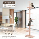 【TVで紹介】杉にゃん キャットタワー 木製 猫タワー 森林浴 健康を守る 突っ張り 日本製 国産 スリム コンパクト 省スペース 隙間 ノミ ダニ 防止 猫肌想い 消臭 抗菌 多頭飼い 天然素材 オーガニック 爪とぎ 1年保証 ニャンテリア リプレ シングルタワー 5段 全高210-260cm