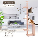 キャットタワー 木製 木 の 猫タワー ねこタワー 突っ張り 日本製 国産 スリム コンパクト 省スペース 隙間 ノミ ダニ 防止 消臭 多頭飼い 無垢材 ナチュラル オーガニック 爪とぎ 運動不足 1年保証 ニャンテリア リプレ ステージ1 全高210-260cm