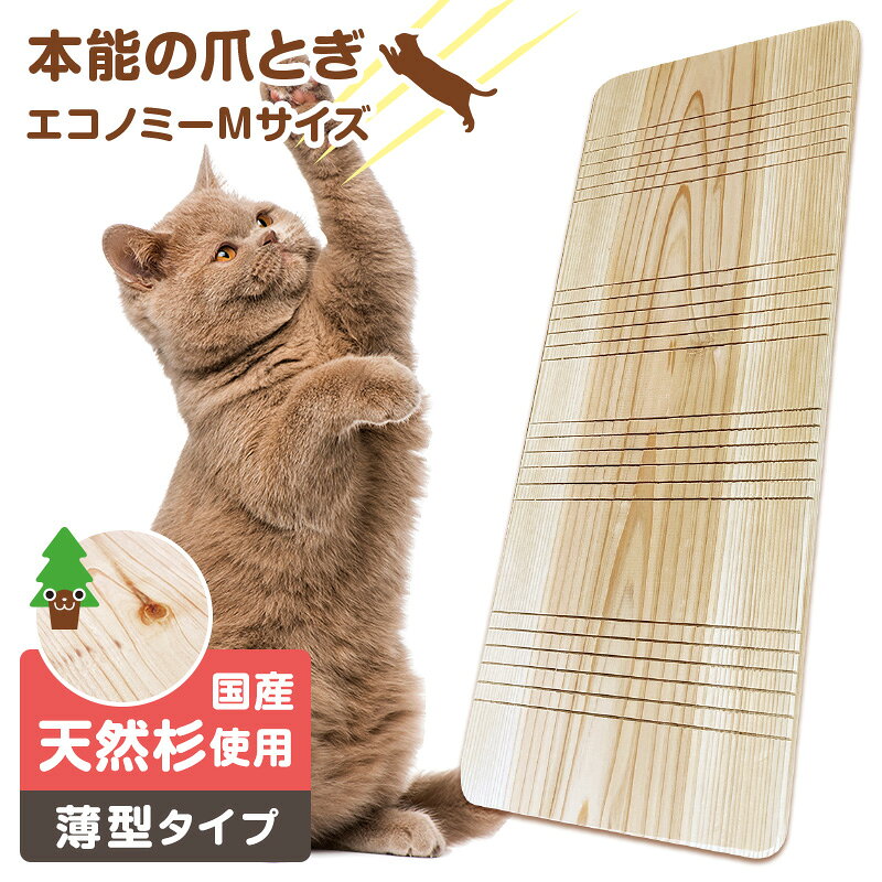 楽天市場】猫 爪とぎ 杉の通販