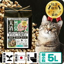 消臭 オーガニック 猫砂 杉にゃん 超小粒 5L 木質ペレット 敏感肌用 スキンケア 猫肌と同じ ph6.4 健康猫砂 猫の砂 命の猫砂 ペレット 自然素材 無添加 オーガニック 食べても大丈夫 100%生分解 国産 固まらない トイレに流せる 消臭 抗菌 抗酸化
