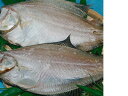 北海道近海宗八カレイ2枚で約240g