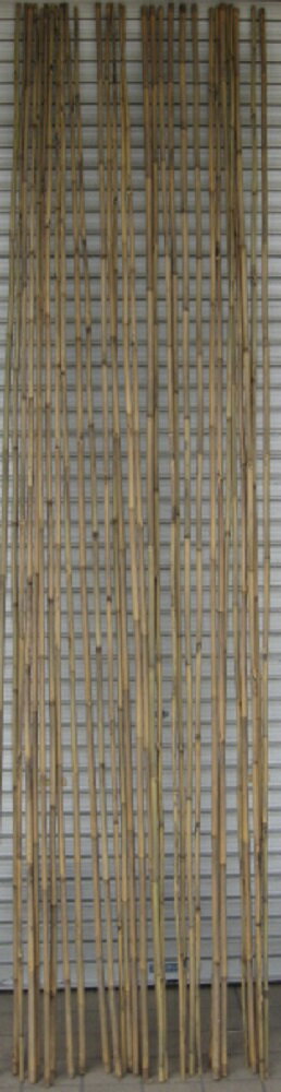 【送料無料】天然竹 竹芯（女竹）長さ約高さ300cm (約直径太さ0.9〜1.9cm）30本入 支柱 添え木 天然素材 竹