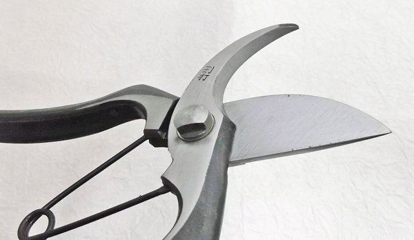 ����Ф��� ������ ¢�� A�� 200 �Ϥ��� ���������̵����