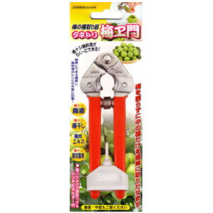 梅の種取り・タネトリ梅ヱ門