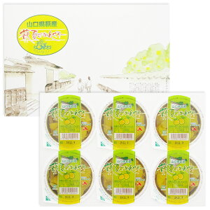 【萩夏みかんゼリー6個セット(140g×6個)】【山口県萩産】【JAあぶらんど萩】【ギフト、贈り物にも】【洋生菓子】