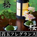【完全閉店SALE!!!!】 【心地よい癒しの香りで包まれよう】苔玉フレグランス 全2種 / フレグランス 苔玉 盆栽 ルームフレグランス アロマ 芳香剤 和 和風 日本 レトロ おしゃれ インテリア(4)