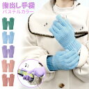 【MILASIC公式】ハンドウォーマー レディース 手袋 指出し 穴付き手袋 穴付き パステルカラー メンズ 冬 秋 秋冬 手の甲 ニット 穴あき手袋 テレワー...
