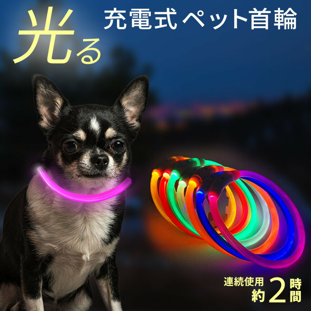 夜のお散歩におすすめ！【小型犬用】光る首輪を教えて！