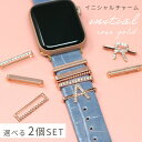 アップルウォッチチャーム 選べる2個セット イニシャルチャーム ローズゴールド apple watch 推し活 カジュアル フォーマル 女性 プレゼント ギフト...