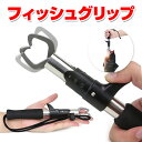 【全品ポイント10倍 12/11 01:59迄】フィッシュグ...