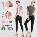 スポーツウエア レディース セット フィットネス ヨガウェア 上下2点セット 半袖Tシャツ ハ分丈 七分丈 ラインパンツ ルーズ ゆったり カジュアル トレーニ...