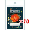 【 まとめ買い ×10個セット 】 「 ショウワノート ジャポニカ封筒A ジャポニカ学習帳文具2 緑 819998001 」 【 楽天 月間MVP & 月間優良...