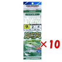 【 まとめ買い ×10個セット 】 「 プロマリン PRO MARINE 胴突ハゲ皮サビキ 9号 レインボー ASE022 」 【 楽天 月間MVP & 月間優...
