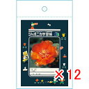 【 まとめ買い ×12個セット 】 「 ショウワノート ジャポニカ封筒A ジャポニカ学習帳文具2 緑 819998001 」 【 楽天 月間MVP & 月間優良ショップ ダブル受賞店 】