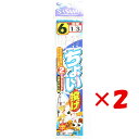 【 まとめ買い ×2個セット 】 「 釣り 仕掛 SASAME ささめ針 ちょい投げ 2本針 針:6 ハリス:1 モトス:3 」 【 楽天 月間MVP & 月間...
