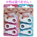 【 まとめ買い10個セット 】 歯のピーリングスポンジ(4)