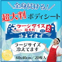 超大判 クールタオル ラージサイズ冷えてます 約60×40cm 20枚入 【 送料無料 】
