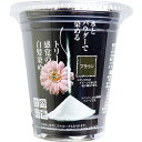 【 まとめ買い12個セット 】 自然彩色 白髪染め 染美A ナチュラルブラウン 30g 【 送料無料 】
