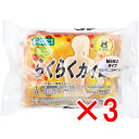 【 まとめ買い3個セット 】 らくらくカイロ 貼らないタイプ ミニ 10個入 【 送料無料 】