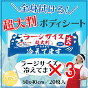 【 まとめ買い3個セット 】 超大判 クールタオル ラージサイズ冷えてます 約60×40cm 20枚入 【 送料無料 】