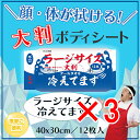 【 まとめ買い3個セット 】 大判 クールタオル ラージサイズ冷えてます 40×30cm 12枚入 【 送料無料 】