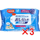 【 まとめ買い3個セット 】 ハビナース やぶれにくいタイプのおしりふき 大判厚手 大人用 40枚入 【 送料無料 】