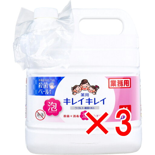 【 まとめ買い3個セット 】 業務用 キレイキレイ 薬用 泡ハンドソープ 4L 【 まとめ買い3個セット 】 業務用 キレイキレイ 薬用 泡ハンドソープ 4L