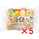【 まとめ買い5個セット 】 らくらくカイロ 貼らないタイプ ミニ 10個入 【 送料無料 】
