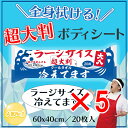 【 まとめ買い5個セット 】 超大判 クールタオル ラージサイズ冷えてます 約60×40cm 20枚入 【 送料無料 】