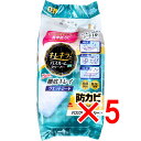 【 まとめ買い5個セット 】 エリエール キレキラ! バスルームクリーナー 徹底キレイ ウエットシート 12枚入 【 送料無料 】