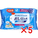 【 まとめ買い5個セット 】 ハビナース やぶれにくいタイプのおしりふき 大判厚手 大人用 40枚入 【 送料無料 】