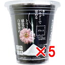 【 まとめ買い5個セット 】 自然彩色 白髪染め 染美A ナチュラルブラック 30g 【 送料無料 】
