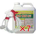【 まとめ買い7個セット 】 屋外用 コケカビ取り 4Lタイプ 噴射ノズル付き 【 送料無料 】