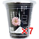 【 まとめ買い7個セット 】 自然彩色 白髪染め 染美A ナチュラルブラック 30g 【 送料無料 】