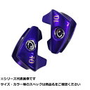 キ マスクドシンカー 10g パープル (2個入) 【 送料無料 】