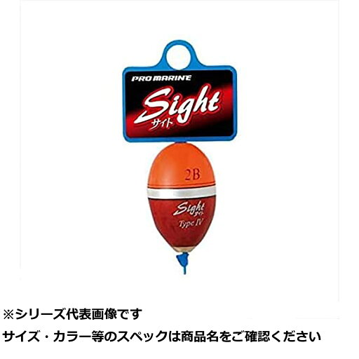 【 まとめ買い2個セット 】 AUA010-2B サイトタイプ IV-2B 【 まとめ買い2個セット 】 AUA010-2B サイトタイプ IV-2B