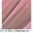 【 まとめ買い17個セット 】 NPK #8515 エギ用クロス ストライプ赤白(4)