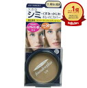【楽天1位】 ファンデュープラスR UVコンシーラーファンデーション 11.明るい肌色 | 送料無料 | 楽天 月間MVP & 月間優良ショップ ダブル受賞店