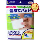 【楽天1位】 【 まとめ買い2個セット 】 デルガード 傷あてパッド Lサイズ 5枚入 | 送料無料 | 月間MVP&月間優良ショップ受賞店